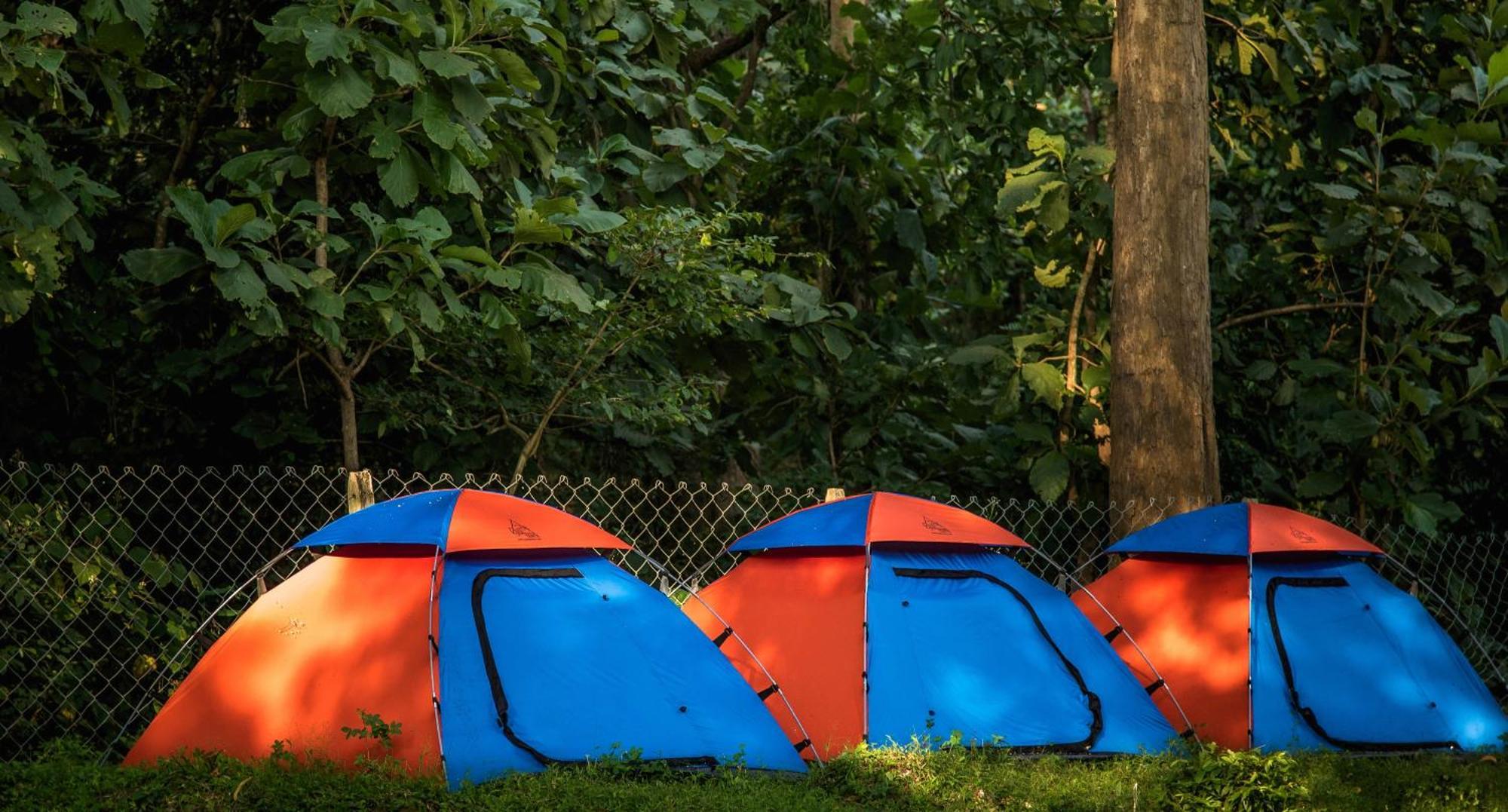Dandeli Tiger Cottages מראה חיצוני תמונה